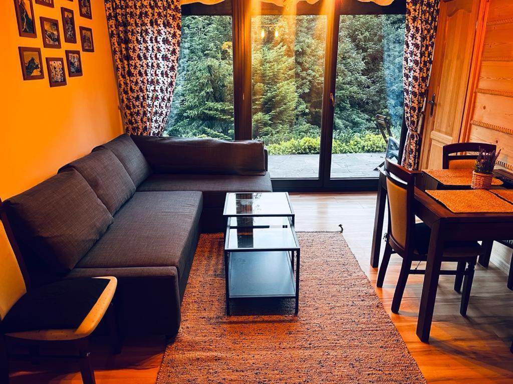 Apartamento Butorowy Cichy Potok Kościelisko Exterior foto